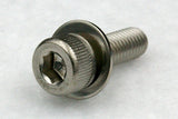 310w/washers M6 Hex Socket Cap Screw with Flat Washer(JIS Small), Steel 3Cr 100 pcs.