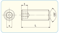 310Tamper PIN-HEX Set Screw Cup Point M6 Alliy Steel(45H) 1pc Tamper Resistant Fasteners(Tamper Proof)