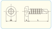 310Tamper PIN-6LOBE Pan Self Drill Screws Size:4 410 Stainless Steel 1pc Tamper Resistant Fasteners(Tamper Proof)