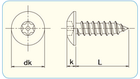 310Tamper PIN-6LOBE Truss Tapping Type A Siae:4 Stainless A2 100pcs. Tamper Resistant Fasteners(Tamper Proof)